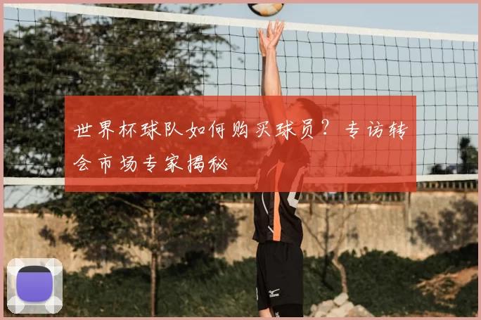 世界杯球队如何购买球员?专访转会市场专家揭秘