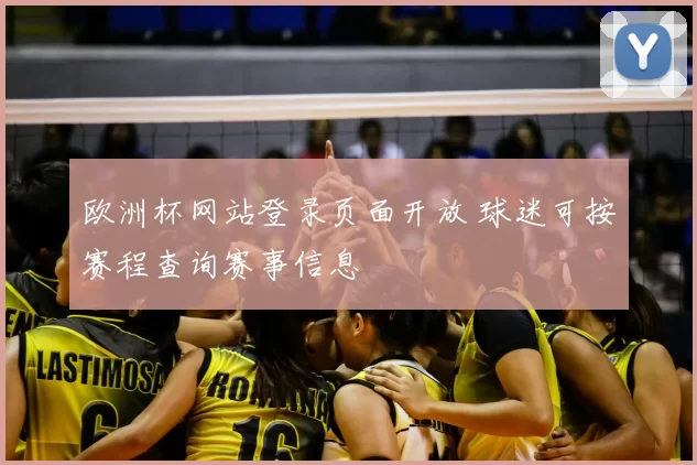 欧洲杯网站登录页面开放 球迷可按赛程查询赛事信息