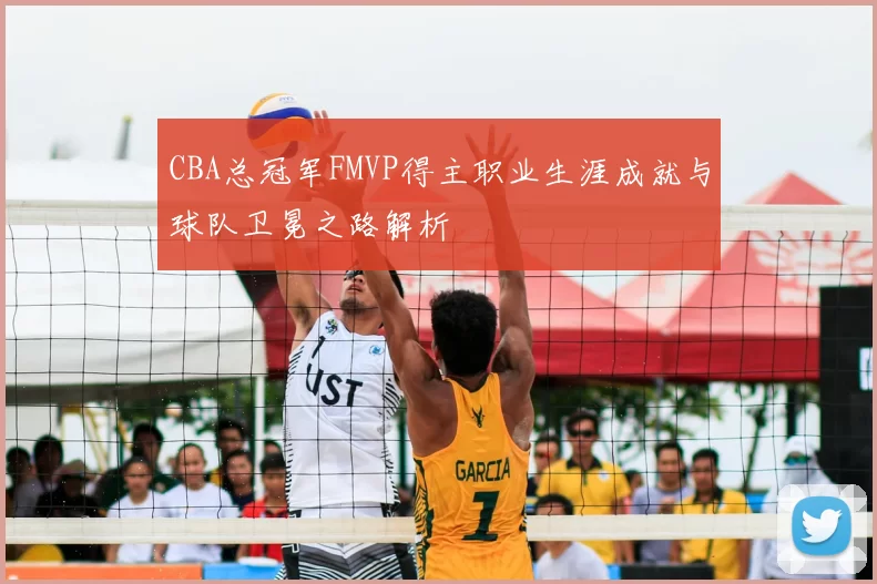 CBA总冠军FMVP得主职业生涯成就与球队卫冕之路解析