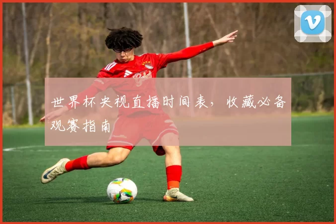 世界杯央视直播时间表,收藏必备观赛指南