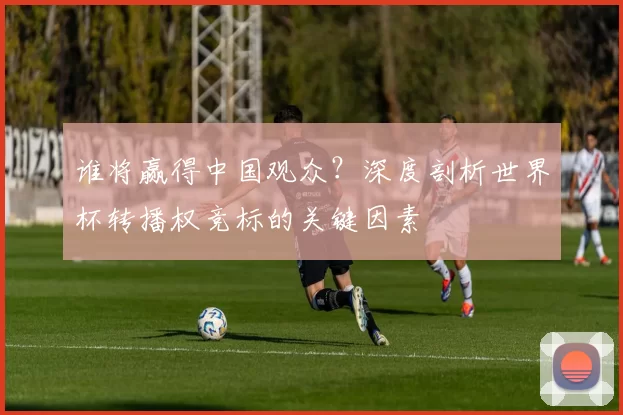 谁将赢得中国观众？深度剖析世界杯转播权竞标的关键因素