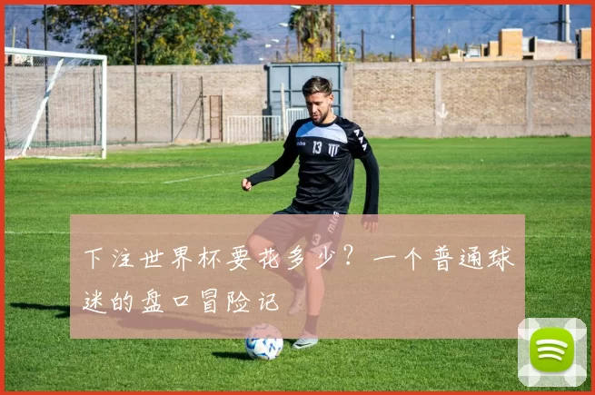 下注世界杯要花多少？一个普通球迷的盘口冒险记
