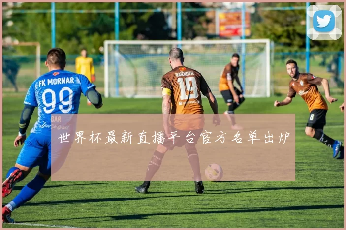 世界杯最新直播平台官方名单出炉