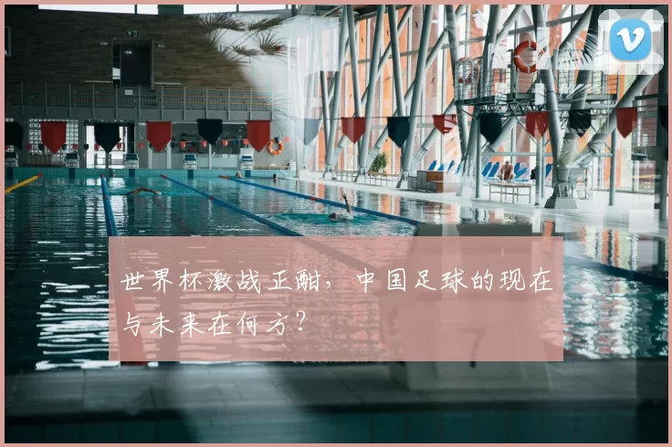 世界杯激战正酣，中国足球的现在与未来在何方？