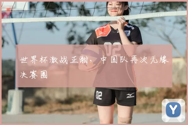 世界杯激战正酣，中国队再次无缘决赛圈