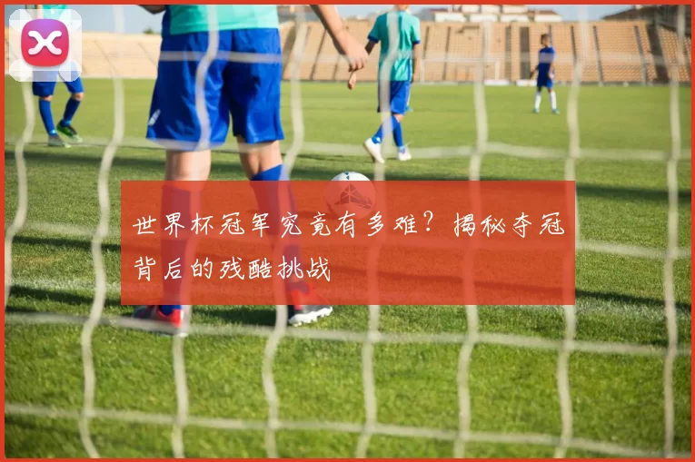世界杯冠军究竟有多难？揭秘夺冠背后的残酷挑战