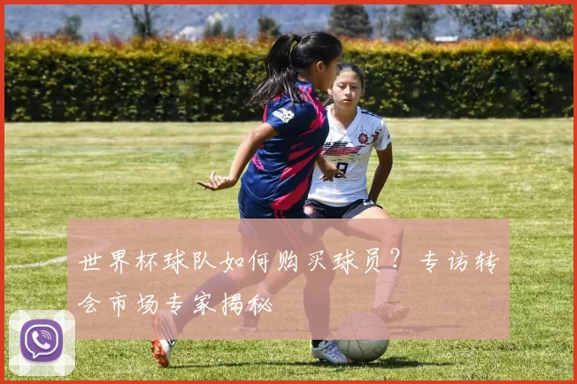 世界杯球队如何购买球员?专访转会市场专家揭秘