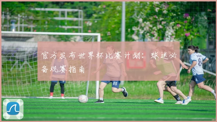 官方发布世界杯比赛计划：球迷必备观赛指南