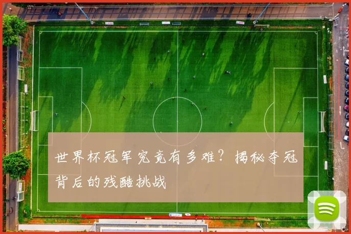 世界杯冠军究竟有多难？揭秘夺冠背后的残酷挑战