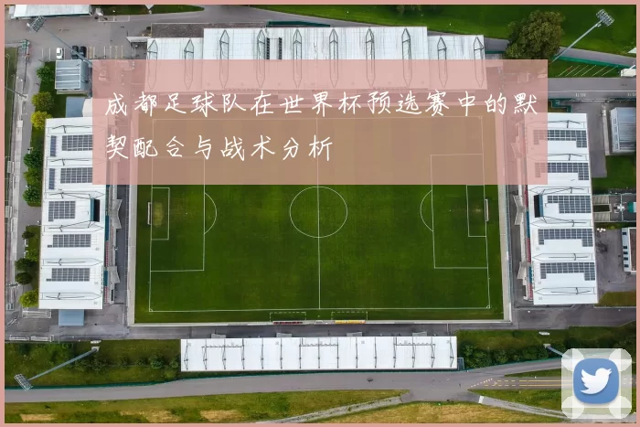 成都足球队在世界杯预选赛中的默契配合与战术分析