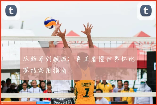 从赔率到数据:真正看懂世界杯比赛的实用指南